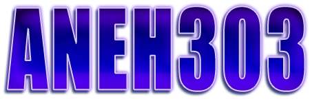 ANEH303